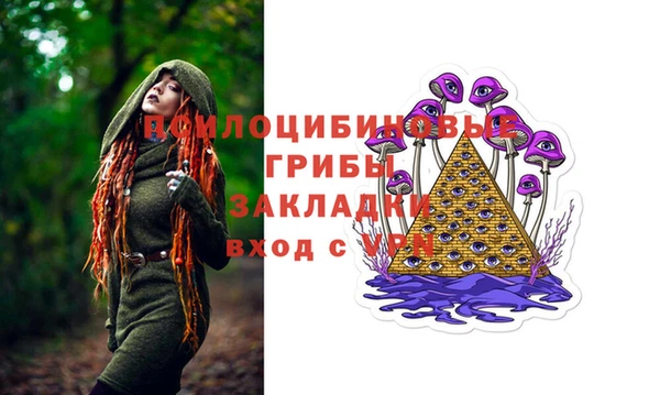 мескалин Новодвинск