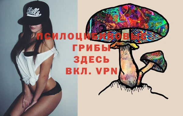 СК Нефтекумск