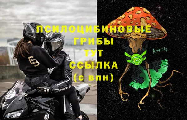 ГАЛЛЮЦИНОГЕННЫЕ ГРИБЫ Нея