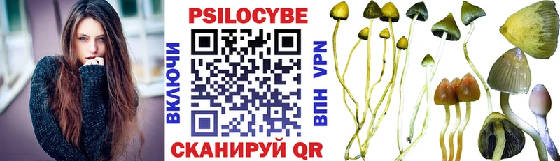 купить наркотики цена  Сибай  Псилоцибиновые грибы прущие грибы 