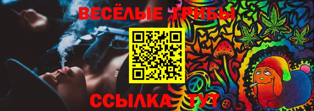 Псилоцибиновые грибы Magic Shrooms  Вход с VPN  Сибай 